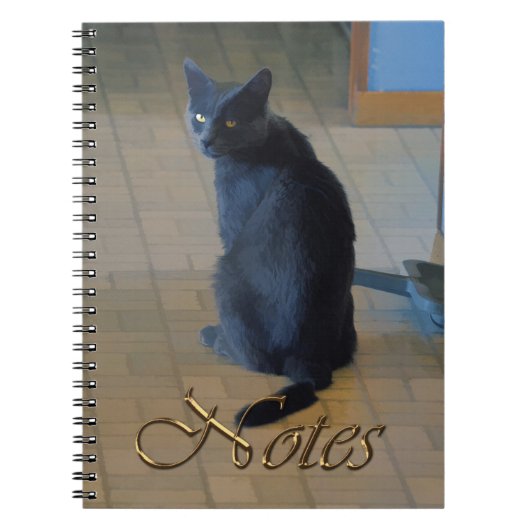 牧場のキッチンに座ってかわいいグレーファーム ノートブック (正面)