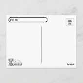 牧場のポストクロッシング – 牛 – 白黒 ポストカード (裏面)