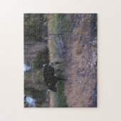 牧場のロングホーン牛 ジグソーパズル (縦)