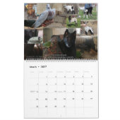 牧場の動物：馬、ヤギ、ペット、家きん カレンダー (3月 2027)