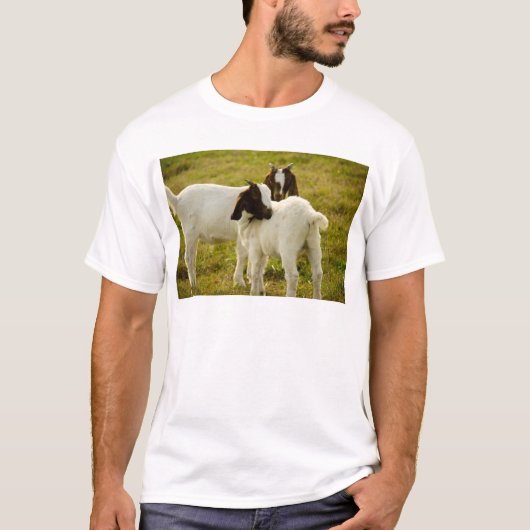 牧場の可愛い子ヤギたち Tシャツ (正面)