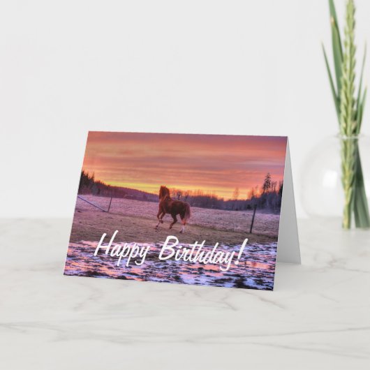 牧場の日没の種馬の連続した家 カード (正面)