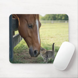 牧場の牧草地にいる子猫と馬 マウスパッド