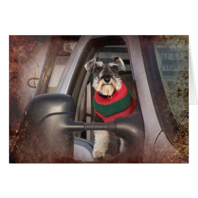 牧場の犬 (正面横)