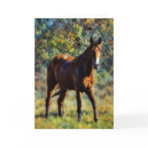 牧場の美しい馬　アートカード