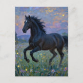 牧場の美しい馬 ポストカード (正面)