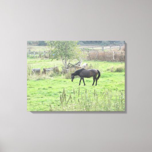 牧場の茶色の美しい馬の写真壁画 キャンバスプリント (正面)