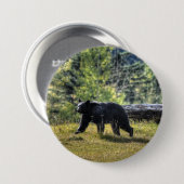 牧場を横切る黒熊 缶バッジ (正面&裏面)