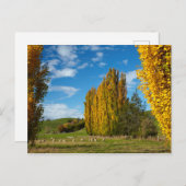 牧場牧草地 ポストカード (正面/裏面)