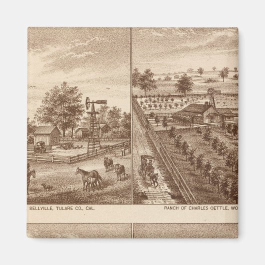 牧場，厩舎，チュラレCo, Cal マグネット (正面)