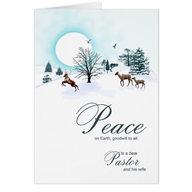 牧師および彼の妻のトナカイとのクリスマス (正面)