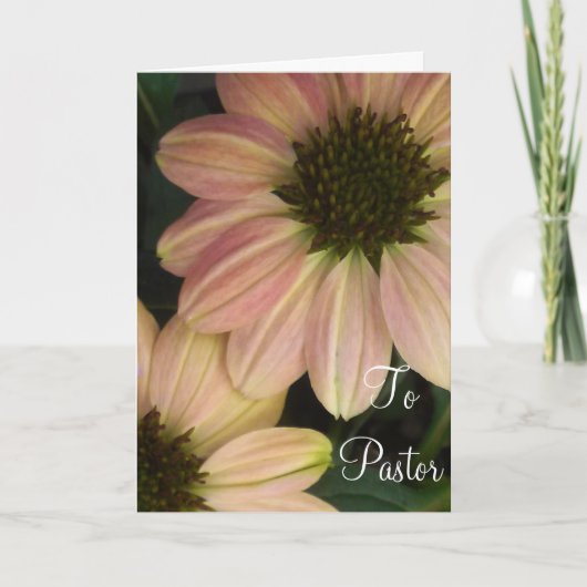 牧師へ カード (正面)