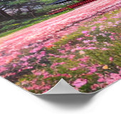 牧歌的なピンクの野原 ポスター (角)