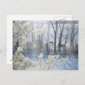 牧歌的な自然の冬の風景 ポストカード (正面/裏面)