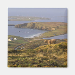 牧歌的アイリッシュコースト マグネット