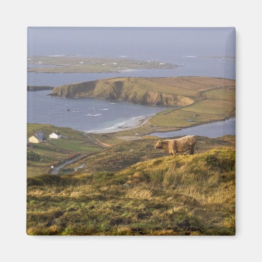 牧歌的アイリッシュコースト マグネット (正面)