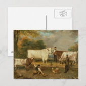 牧民の牛 ポストカード (正面/裏面)