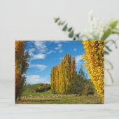 牧羊牧草地 サンキューカード (スタンド正面)