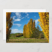 牧羊牧草地 サンキューカード (正面/裏面)