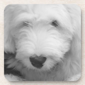 牧羊犬のコルクのコースター コースター (正面)