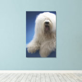 牧羊犬 キャンバスプリント (インサイチュ (ウッドフロア))