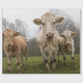 牧草おもしろい中の牛の群れ ラッピングペーパー (フラット)