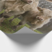 牧草おもしろい中の牛の群れ ラッピングペーパー (角)