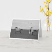 牧草の挨拶に馬を駆る カード (黄色い花)