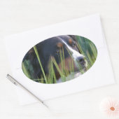 牧草の牧羊犬 楕円形シール (封筒)