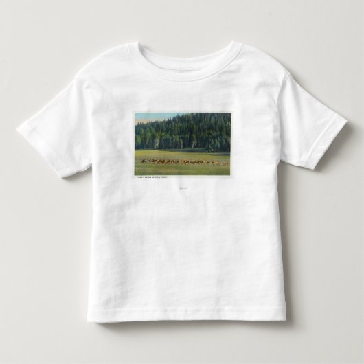 牧草を食べているシカ1パックの眺め トドラーTシャツ (正面)