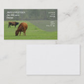 牧草を食べている茶色牛 名刺 (正面/裏面)