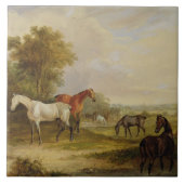 牧草を食べている馬: ロバと牧草を食べている灰色の種馬 タイル (正面)