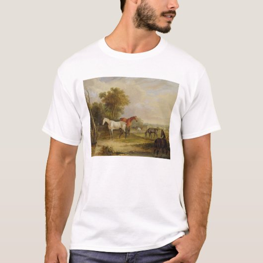 牧草を食べている馬: ロバと牧草を食べている灰色の種馬 Tシャツ (正面)