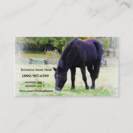 牧草を食べている黒い馬 名刺 (正面)