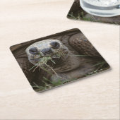 牧草を食べているAldabraのカメ スクエアペーパーコースター (アングル)