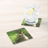 牧草を食べるかんじきノウサギ スクエアペーパーコースター (インサイチュ)