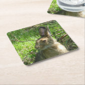 牧草を食べるかんじきノウサギ スクエアペーパーコースター (アングル)