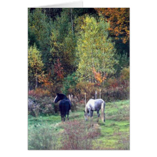 牧草を食べる秋-マツリッジの農場Percherons