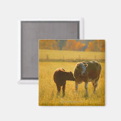 牧草中の牛 マグネット (正面/裏面)