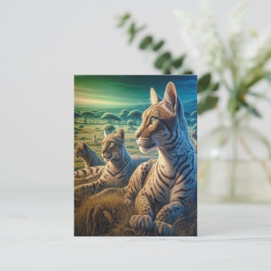 牧草地でささやいた仲間 ポストカード (スタンド正面)