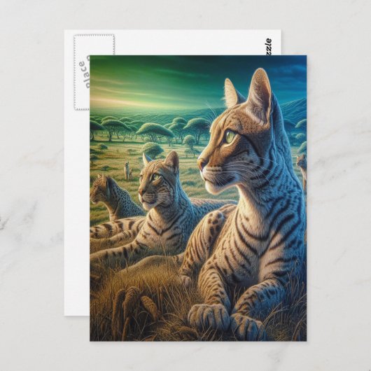 牧草地でささやいた仲間 ポストカード (正面/裏面)