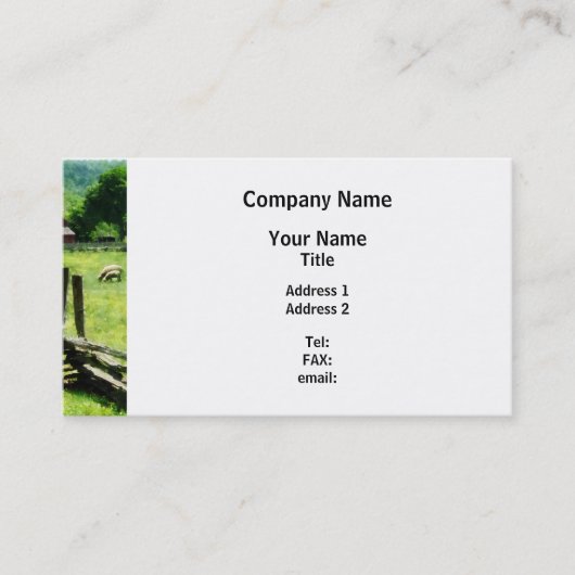 牧草地での羊の放牧 名刺 (正面)