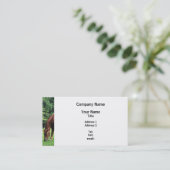 牧草地での馬の放牧 名刺 (スタンド正面)