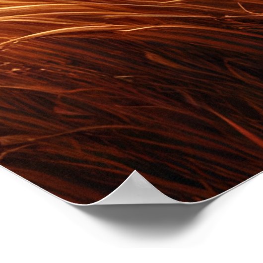 牧草地で三匹のサルが戯れる ポスター (角)