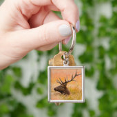 牧草地で休むアカシカ(Cervus elaphus) キーホルダー (手)
