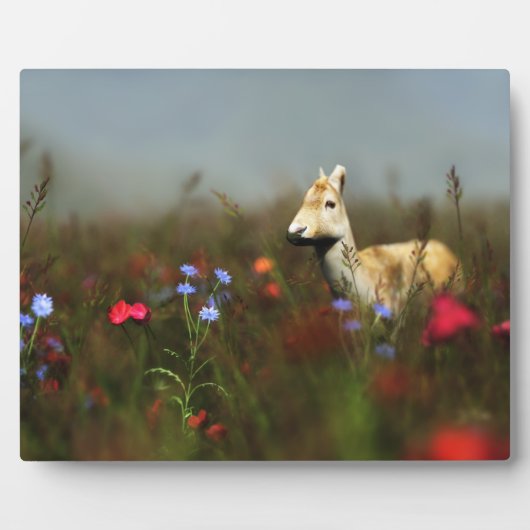 牧草地で写真を撮る フォトプラーク (正面)
