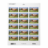 牧草地で煮え切った牛 ラベル (フルシート)