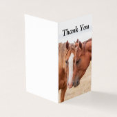 牧草地で生い茂る馬 (外部)