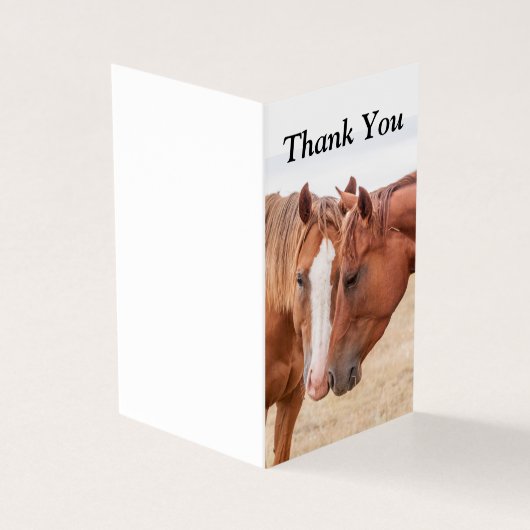 牧草地で生い茂る馬 (外部)