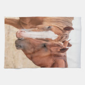 牧草地で生い茂る馬 キッチンタオル (横)